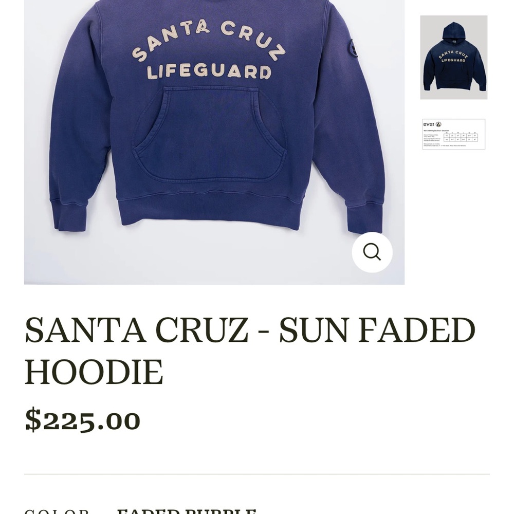 Ever clothing Santa Cruz Skateboards Faded Purple Hoodie new no tags